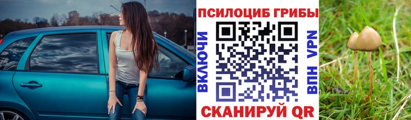 Галлюциногенные грибы GOLDEN TEACHER  Бежецк 